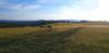 20220614_185324.jpg
