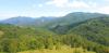 20220605_125341.jpg