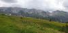 20220625_125649.jpg