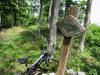 M14.jpg
