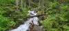 20230626_094244.jpg