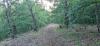 20230629_192306.jpg