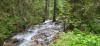 20230626_093837.jpg