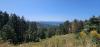 20250622_110403.jpg