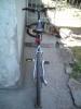 DSC02724.JPG