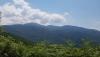 20180715_121158.jpg