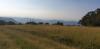 20190705_184651.jpg
