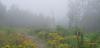 IMG-4faddeb9b1f29a96fe01d73b62797166-V.jpg