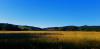 20200710_185435.jpg