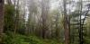 20200712_115859.jpg
