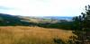 20210704_131321.jpg