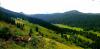 20210710_110627.jpg