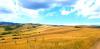 20210704_111156.jpg