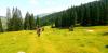 20210710_111721.jpg