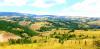 20210704_102329.jpg