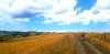 20210704_110818.jpg