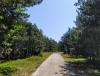 IMG_20220703_113605~2.jpg