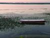 IMG_20220717_050451~2.jpg