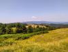 IMG_20220703_113739~2.jpg