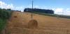 20220710_155347.jpg