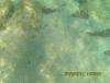 FHD0255.JPG
