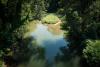 DSC01607.jpg