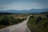 DSC01599.jpg