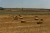 DSC01618.jpg