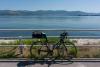 DSC01542.jpg