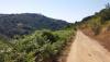 20170804_145749_resized.jpg