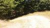 20170804_130834_resized.jpg