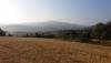 20170809_064753.jpg