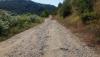20170804_145935_resized.jpg
