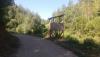 20170804_095525_resized.jpg