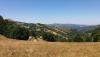 20170804_142347_resized.jpg