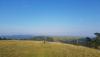 20180808_180514.jpg