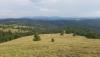 20180819_165424.jpg
