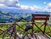 IMG_20190804_095255~2.jpg
