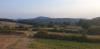 20190823_183236.jpg