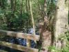 IMG_20190514_155656.jpg