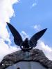 IMG_20200816_115100~2.jpg