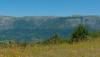 038DSC00268.jpg