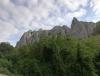IMG_20200816_080157.jpg