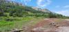 20200808_104554.jpg
