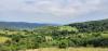 20200807_155712.jpg