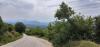 20200807_114959.jpg