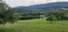 20200808_153050.jpg