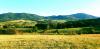 20210819_182235.jpg