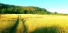20210812_181859.jpg