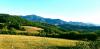20210819_175607.jpg